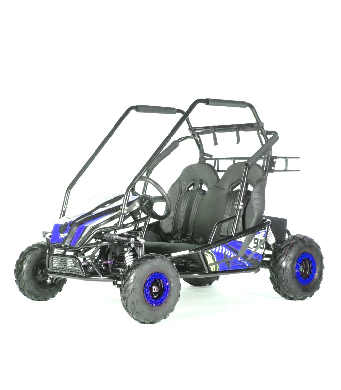 Aku buggy Dune 1000W 60V pro děti